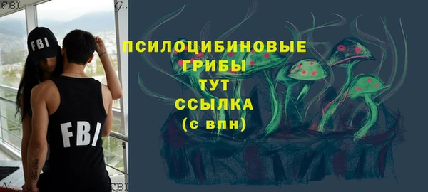 амф Медногорск