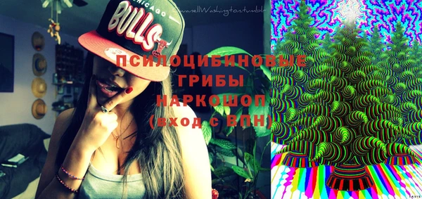 амф Медногорск