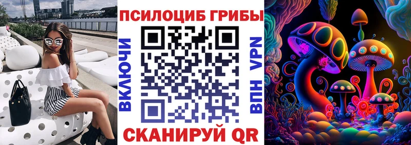 Галлюциногенные грибы Cubensis  Тейково 
