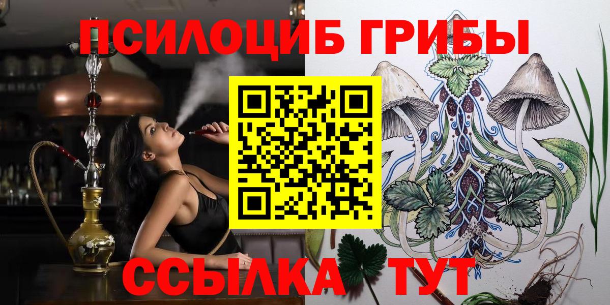 Псилоцибиновые грибы Cubensis Тейково